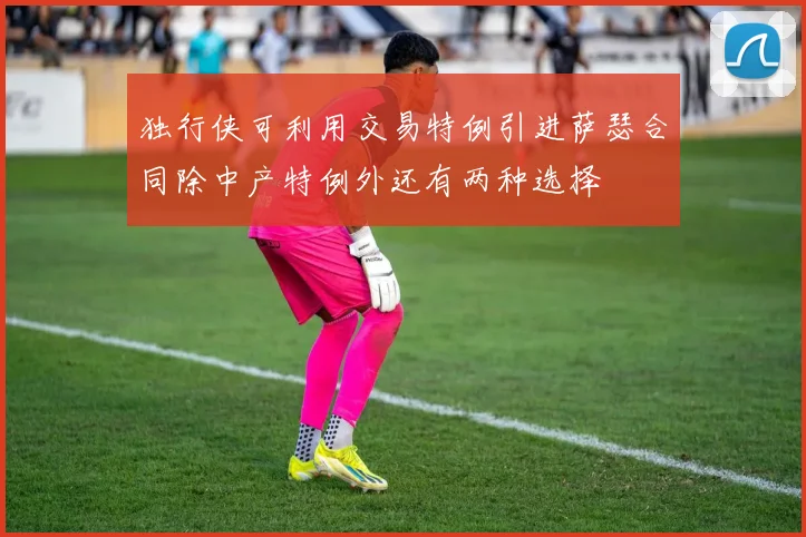 独行侠可利用交易特例引进萨瑟合同除中产特例外还有两种选择