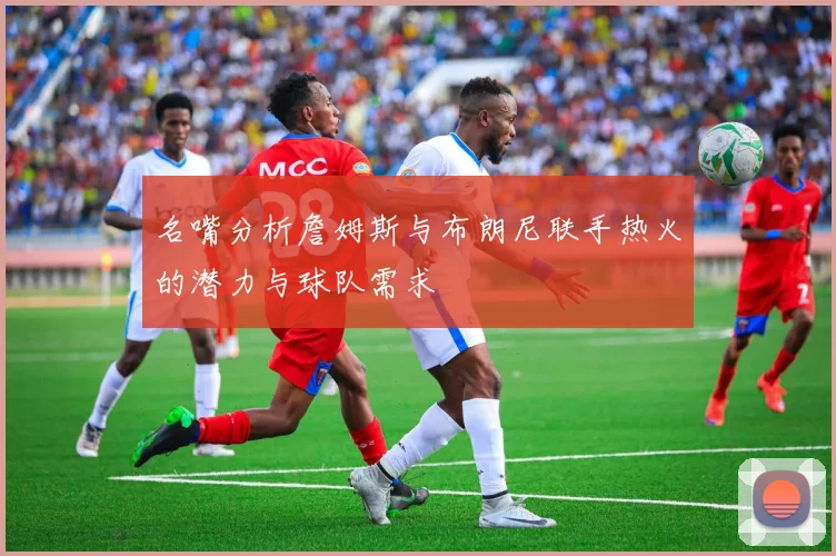 名嘴分析詹姆斯与布朗尼联手热火的潜力与球队需求