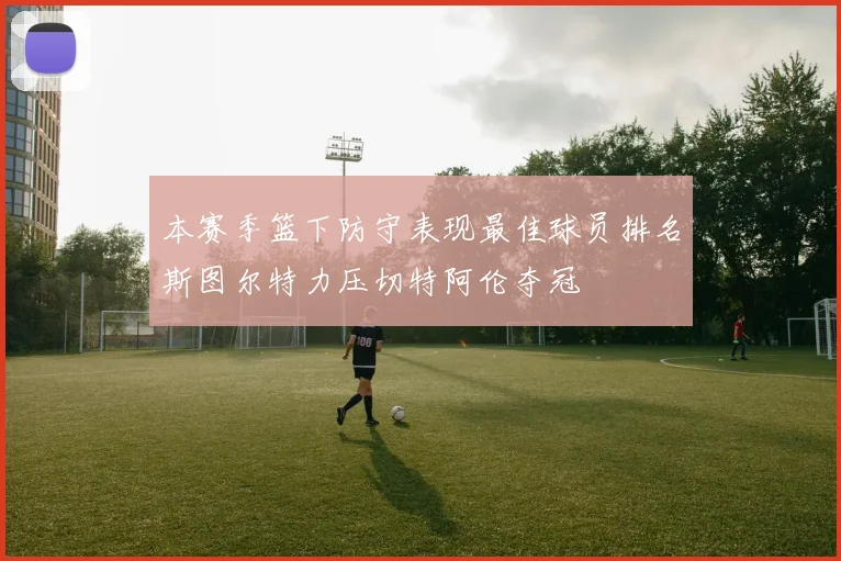 本赛季篮下防守表现最佳球员排名斯图尔特力压切特阿伦夺冠